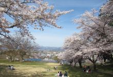 Sagae Park景点图片