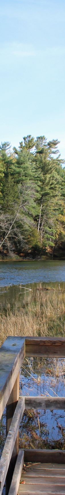 Pinery Provincial Park-大本德