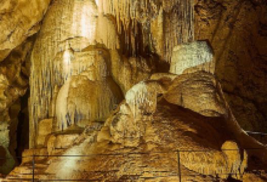 Wellington Caves & Phosphate Mine景点图片