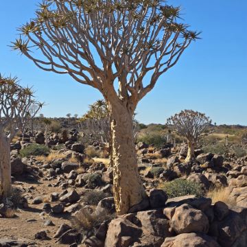 纳米比亚10日9晚跟团游