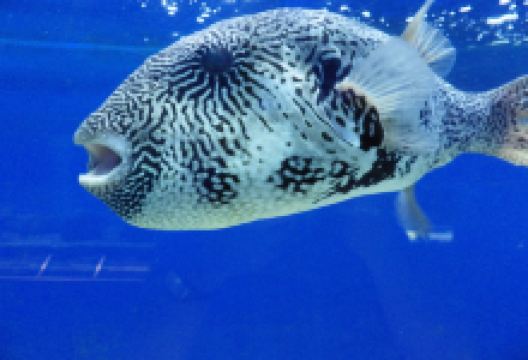 Marine Ecology Research Centre景点图片