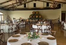 Folino Estate Vineyard & Winery景点图片