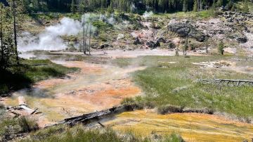 Artists Paintpots