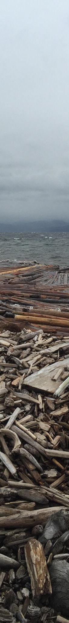 Rebecca Spit Marine Provincial Park-奎德拉岛