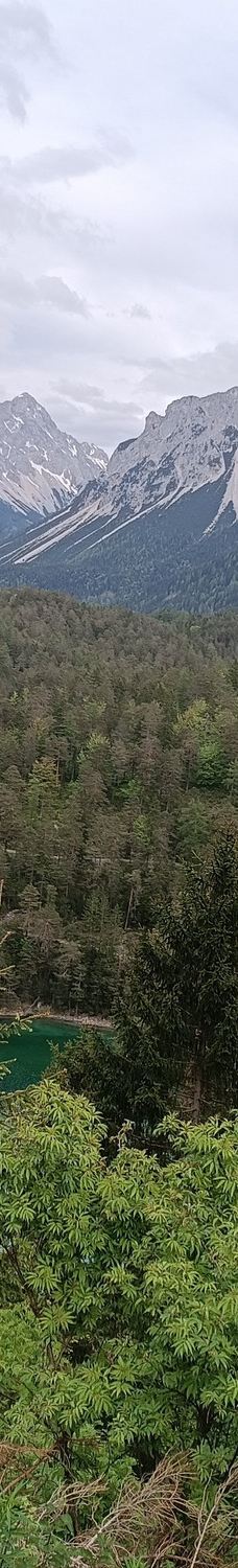 Blindsee-比伯维尔