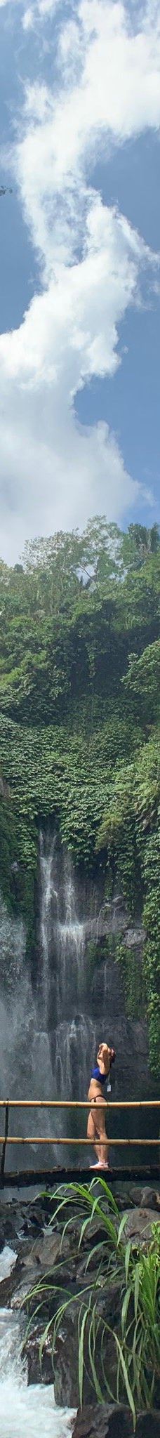 Lemukih Waterfall-巴厘岛