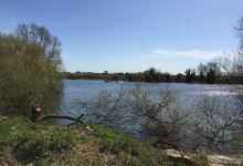 Little Belhus Country Park景点图片