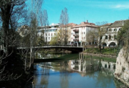 Ponte Paleocapa景点图片