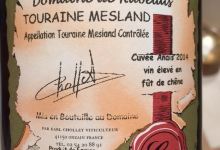Domaine de Rabelais景点图片
