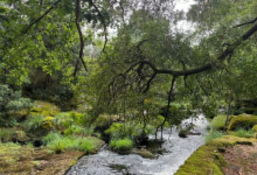 Los Batanes de Mosquetin景点图片