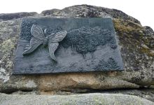 Monumento A La Mariposa.景点图片