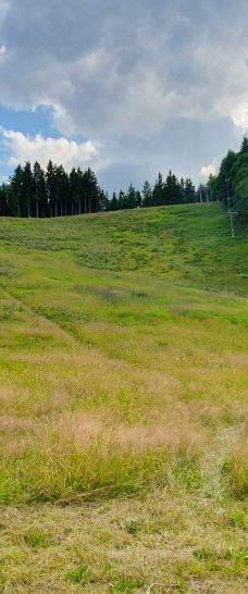 玛利亚温泉滑雪度假村-玛丽亚温泉市
