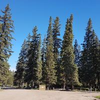 艾伯特王子城图片