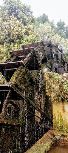 Gautier Municipal Park-索尔格河畔利勒