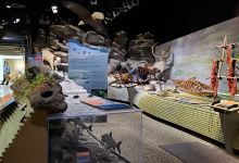 Northwest Arctic Heritage Center景点图片