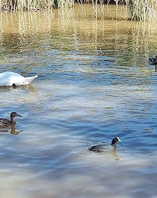 Grajera Park-洛格罗尼奥