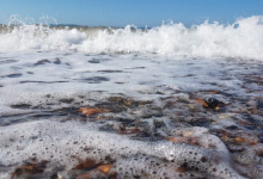 Kalafat Köprüsü景点图片