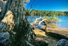 Heazlett Park景点图片