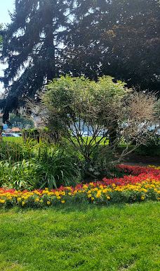 McEuen Park and Dog Park-科达伦