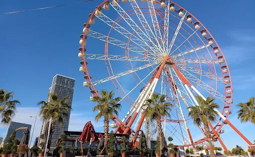 Panoramic Wheel