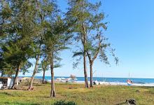 Pentas Seni Pantai Kata景点图片
