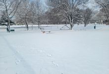 Joint Base Andrews Dog Park景点图片