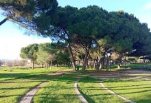 Bosc de La Torre景点图片