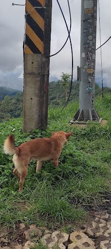 Pang Mapha Viewpoint-拜县
