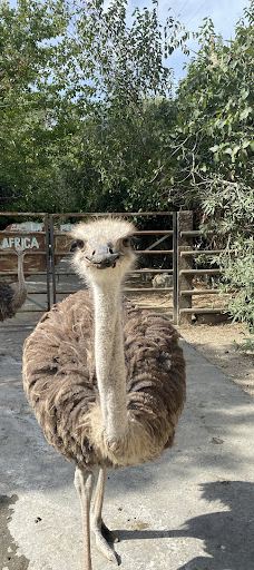 La Pequeña África-加的斯省