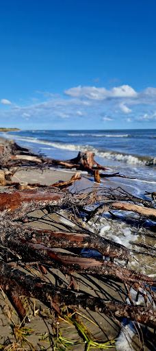 Lyngså Strand-赛比