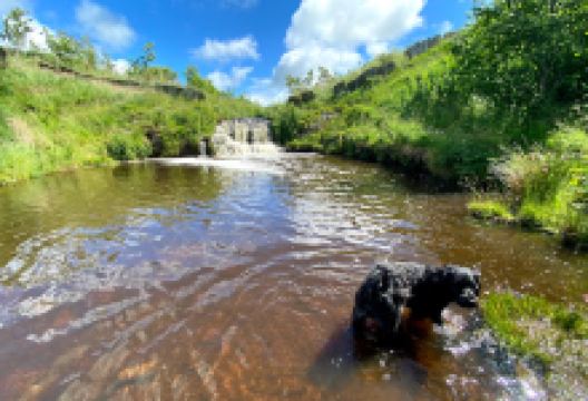 Sibster Walk景点图片