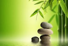 JB Escort Angels - Johor Bahru Escort Service景点图片