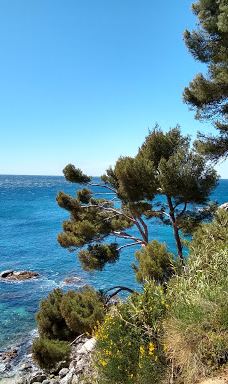 Cala Cap Roig-卡隆赫