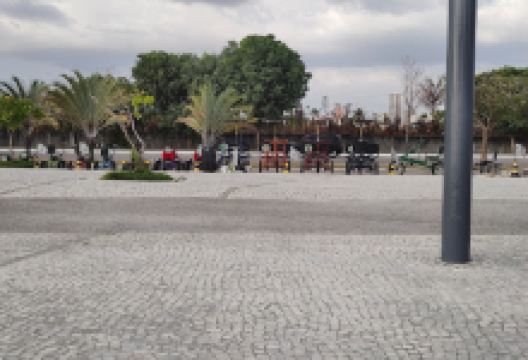 ROSE TRICICLO购物图片