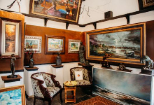 Dimitrov Art Gallery景点图片
