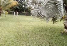Finca KMK景点图片