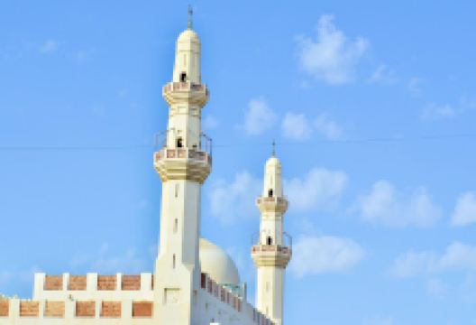 Masjid Malik Abdul Aziz景点图片