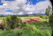 Pohangina Wetlands Development景点图片