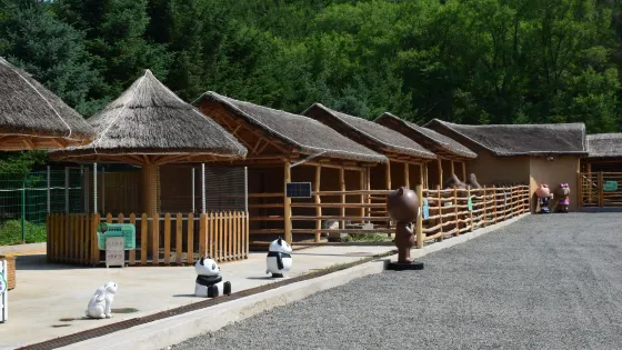西豐小東溝森林公園