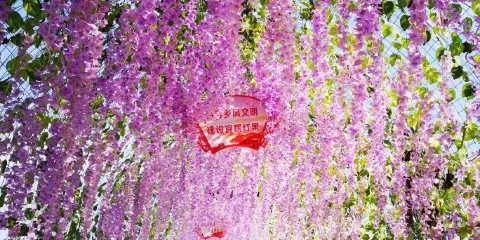 紅果子鎮大地天香旅遊景區