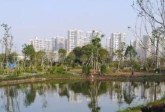 南城村湿地公园景点图片