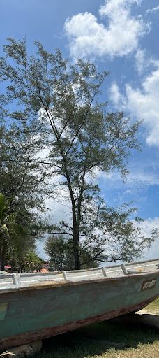 Pantai Tanjung Balau-Pantai Timur