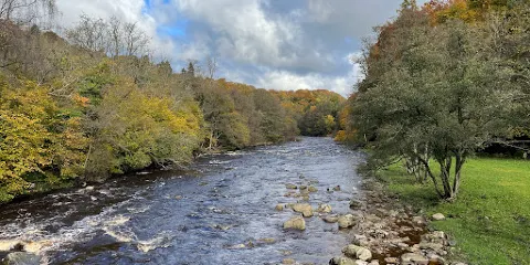 Allen Banks and Staward Gorge