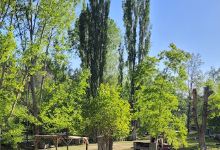 Camping Refugio Las Vegas景点图片