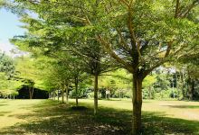 Wat Tham Khwan Mueang景点图片