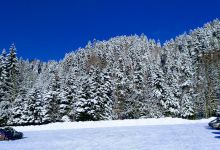 "Cazacu" Ski Slope景点图片