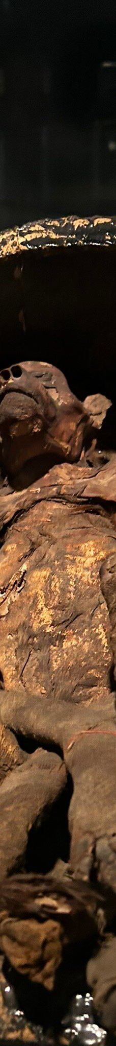 木乃伊博物馆-卢克索