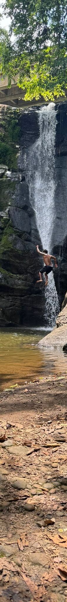 卡维塔国家公园-Talamanca