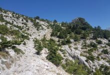 Mount Taygetos景点图片
