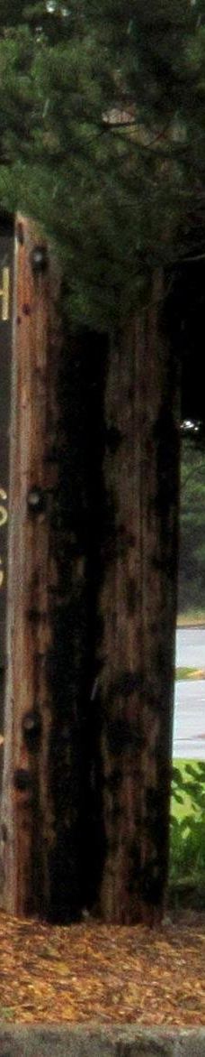 South Beach State Park-纽波特